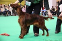 Crufts2011 164